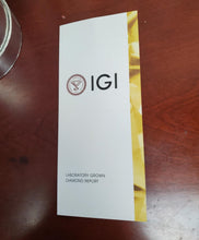 Load image into Gallery viewer, 47493457