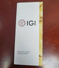 Load image into Gallery viewer, 47493466