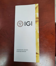 Load image into Gallery viewer, 47493461