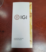 Load image into Gallery viewer, 47493455