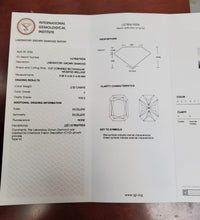 Load image into Gallery viewer, 47493457