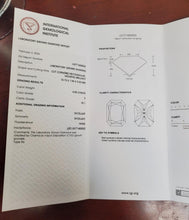Load image into Gallery viewer, 47493463