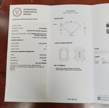 Load image into Gallery viewer, 47468581