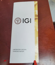 Load image into Gallery viewer, 47493463
