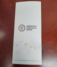 Load image into Gallery viewer, 47493453
